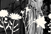 Botanical Reverie - Handdrawn Floral, a Decorative Illustration by The Journey Atelier (Thumbnail 11 of 16)
