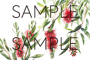Bottle Brush Floral Clipart PNG, a Decorative Illustration by Pawcasso's Portraits (Thumbnail 6 of 6)