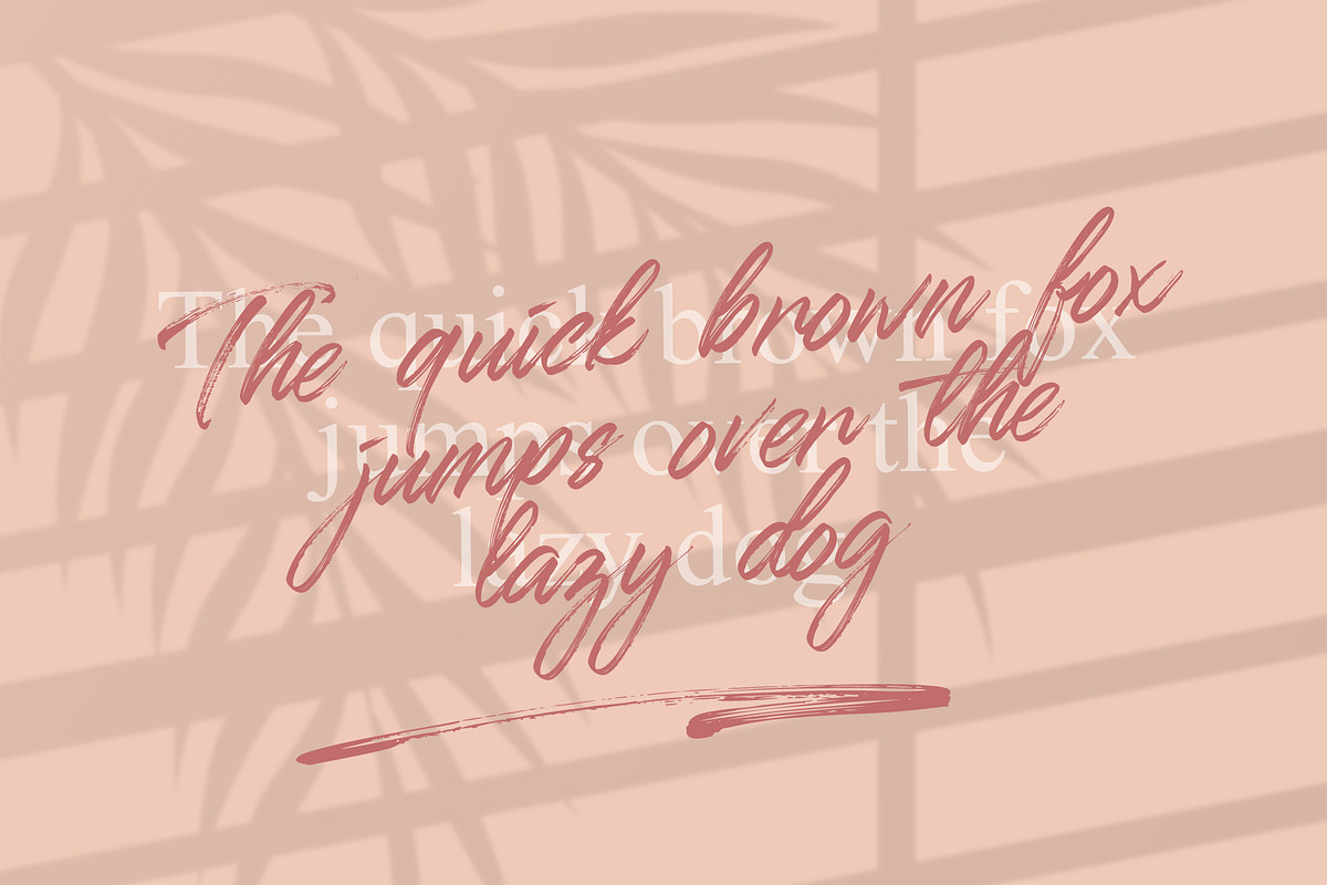 Qillsey Einstein - Handbrush, a Script Font by Monoco Type Foundry (Photo 2 of 12)