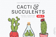 Cacti & Succulents Graphics Bundle 2, a Decorative Illustration by Pigment Café (Thumbnail 1 of 8)
