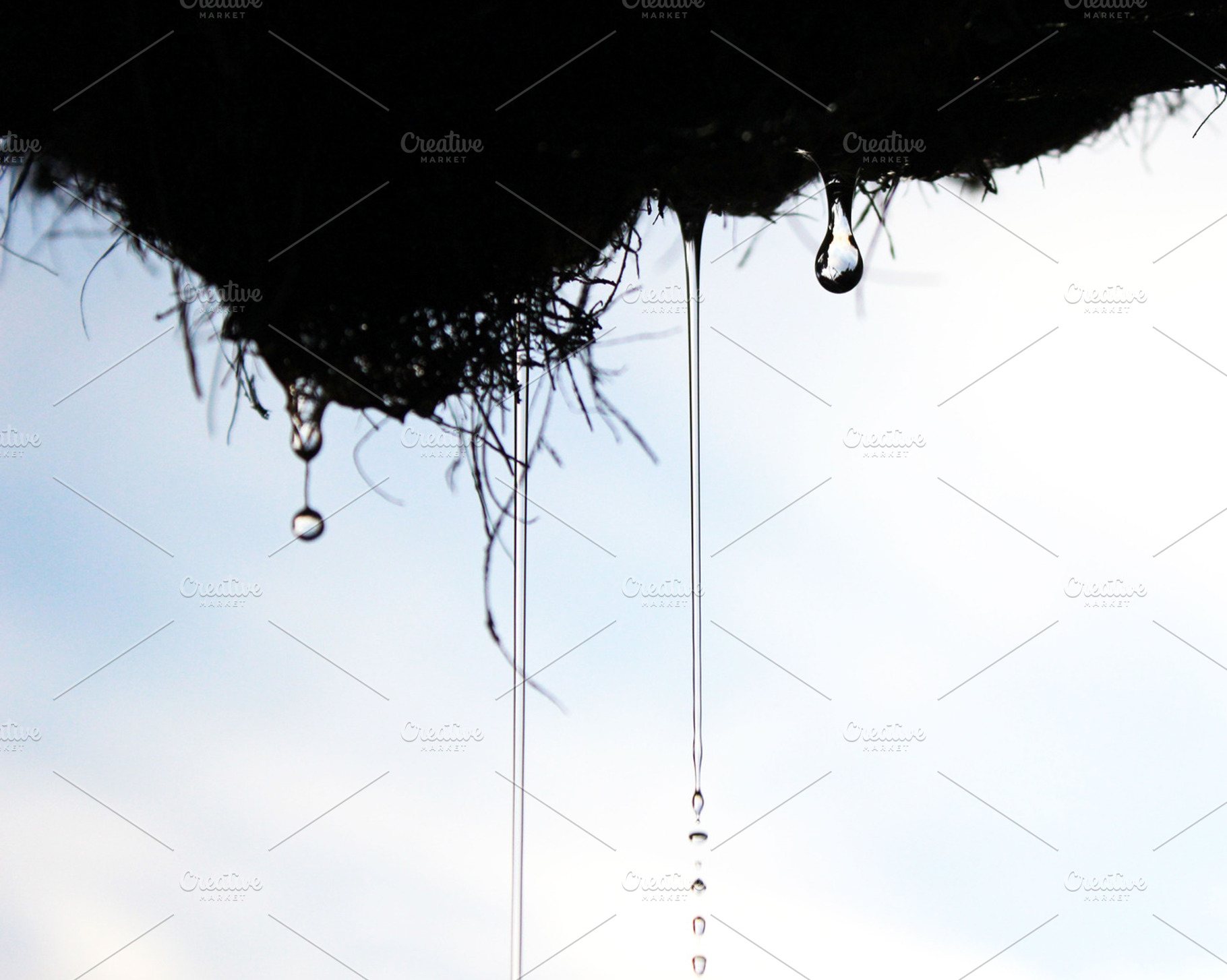 Drip Drip