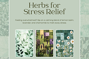HERBAL MEDICINE SOCIAL MEDIA POSTS, a Social Media Template by Daring Digies (Thumbnail 7 of 9)
