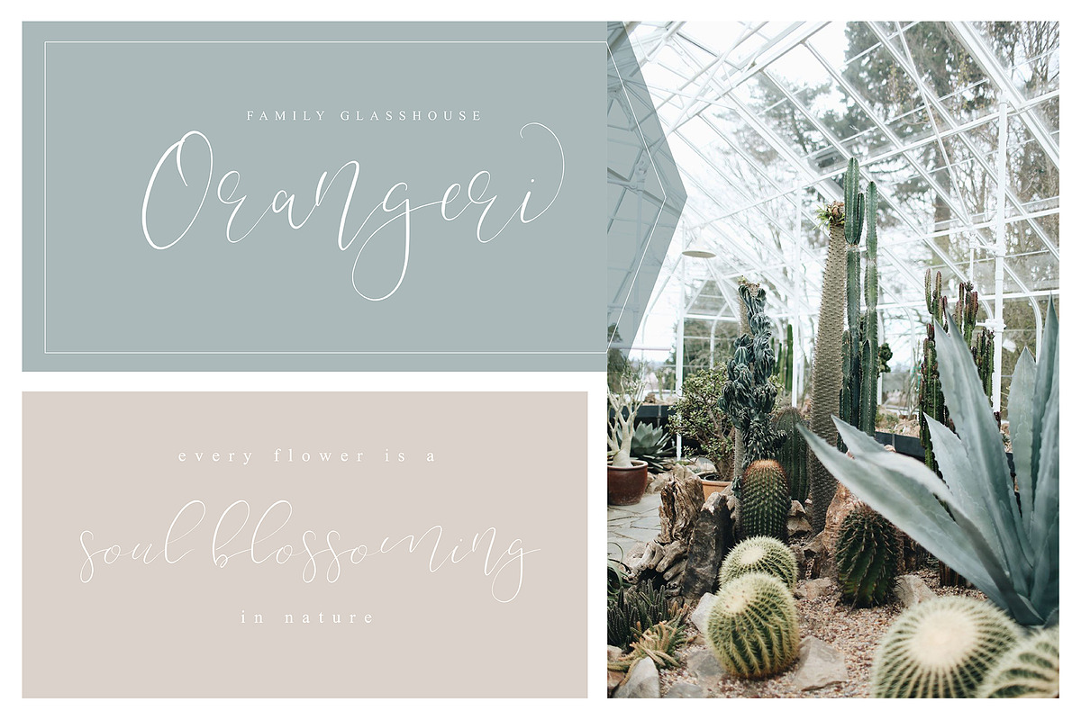 Movelistica preview 5