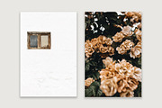Lifestyle Bundles Collection 4, a Beauty & Fashion Photo by Floral Deco (Thumbnail 2 of 66)