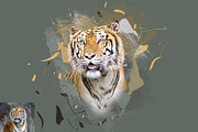 Abstract Paint Photoshop Action, an Action Add-On by MRI STUDIO (Thumbnail 7 of 18)