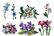 Watercolor flowers set, an Illustration by My art shop (Thumbnail 3 of 4)