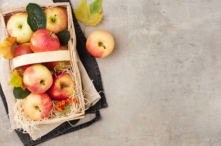 autumn flat lay on grey background with apples and basket, a Background Photo by Alliance Images