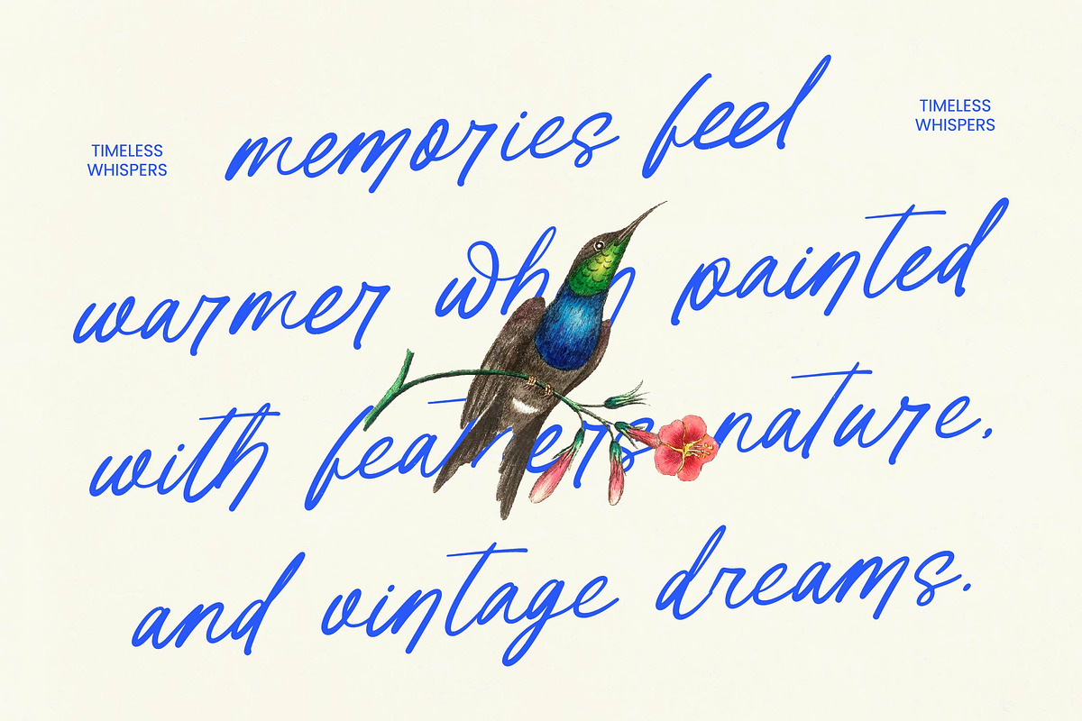 Tender Natural Handwritten Ink Font, a Script Font by Letterena Studios Script (Photo 6 of 10)