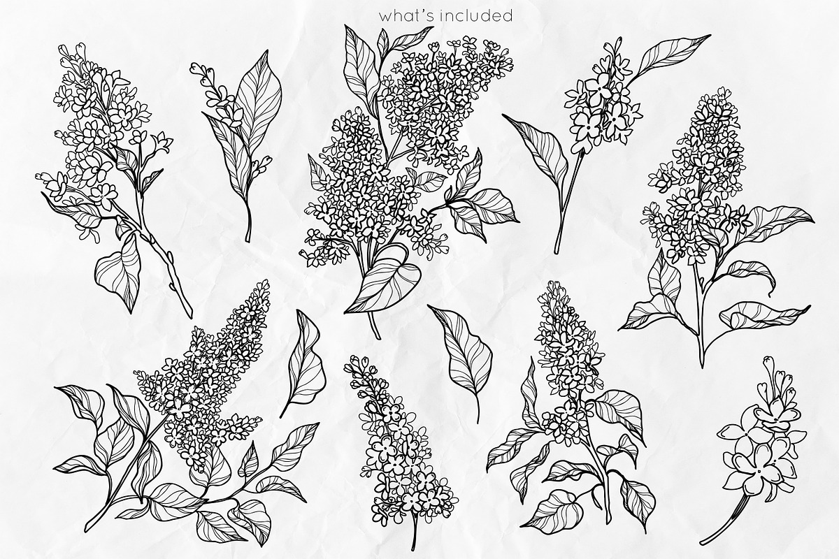 Lilac Flowers Line Art SVG, an Object Graphic by Dervik Art Store (Photo 3 of 7)