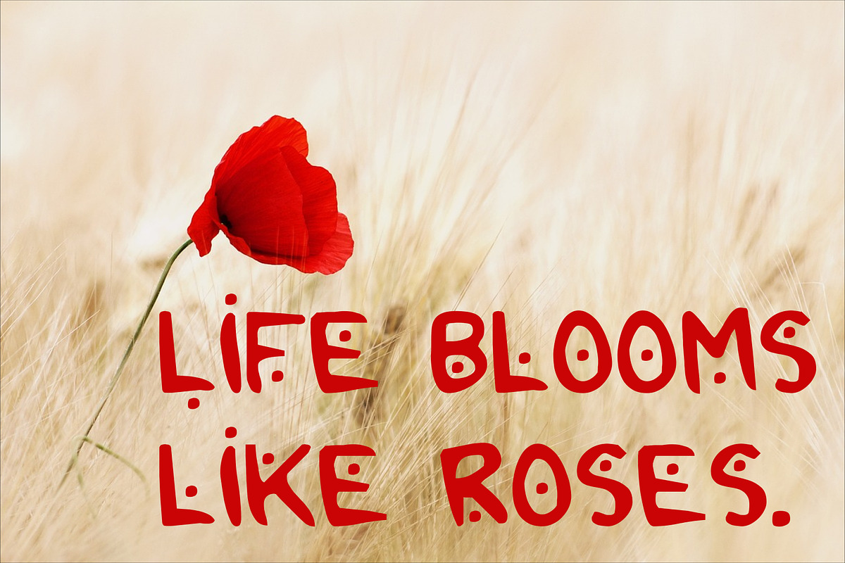 2Toon2 Elegant Serif Font Typeface, a Serif Font by Ink & Pixel Dreams (Photo 2 of 4)