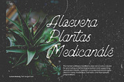 Lunar Melody, a Script Font by Rasiorise Studio (Thumbnail 4 of 12)