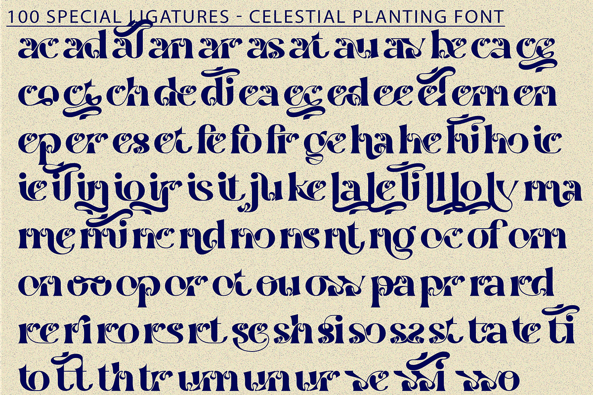 Celestial Planting - Modern Serif, a Serif Font by 177Studio (Photo 7 of 8)
