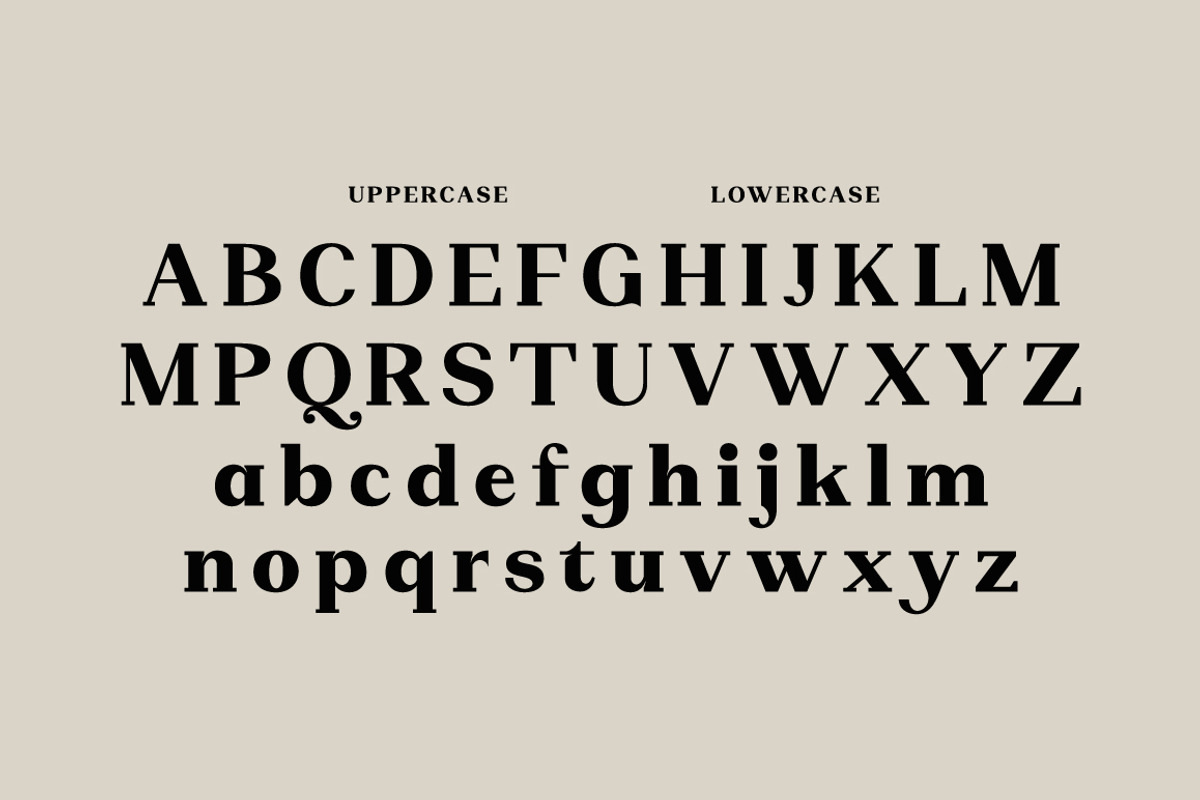 Nophine, a Serif Font by Mantype Studio (Photo 5 of 14)