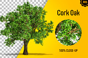 CUT OUT TREES - 60 PCS BUNDLE, a Packaging Mockup by 3DSTORE (Thumbnail 6 of 63)