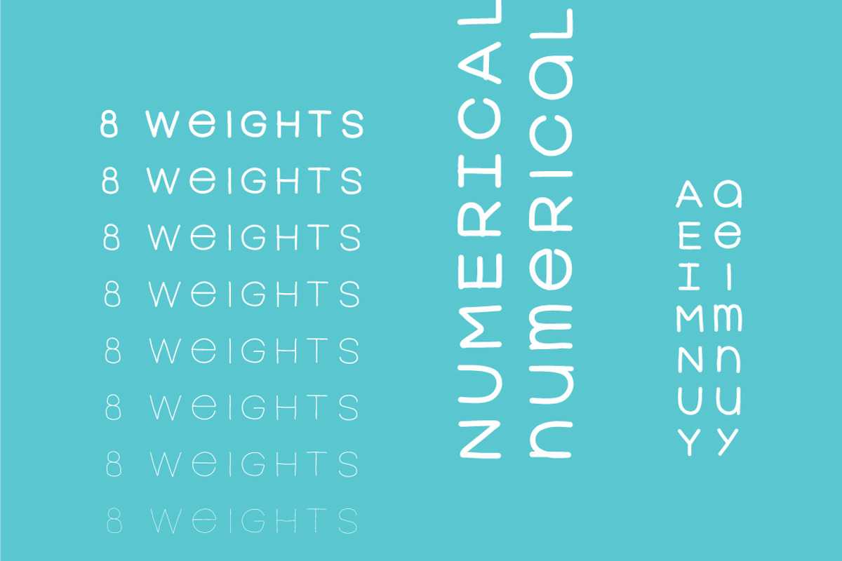 Fervent Sans [8 weights], a Handwritten Font by Ekloff (Photo 4 of 5)