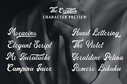 The Creation Script Bold Font, a Script Font by Jaruka (Thumbnail 6 of 10)