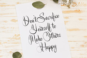 Buterflow - Historical Script Font, a Handwritten Font by Variatype (Thumbnail 8 of 9)
