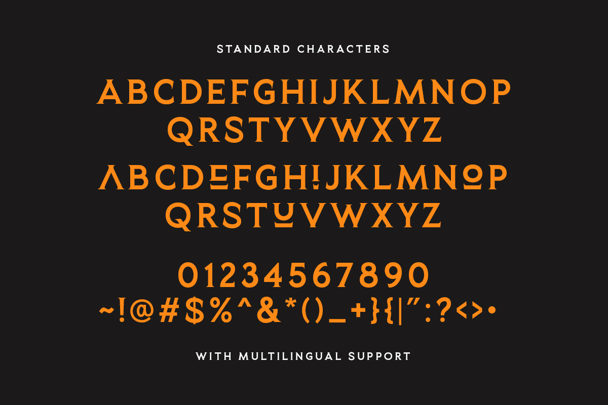 Planet Gamers - Ligature Logo Serif, a Serif Font by Sarid Ezra (Photo 7 of 7)
