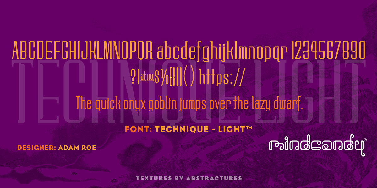 Technique™, a Serif Font by MINDCANDY (Photo 2 of 2)