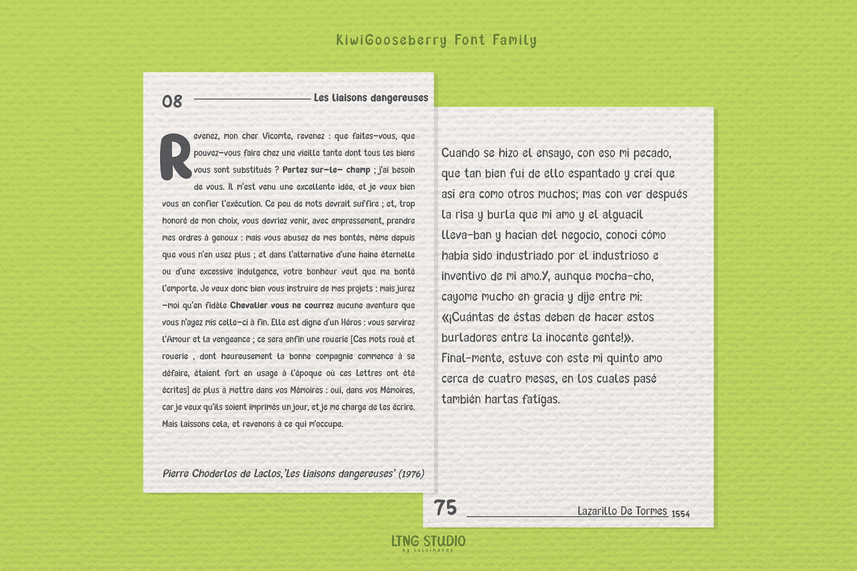 Kiwi Gooseberry Font Family, a Font by LTNG STUDIO (Photo 7 of 9)