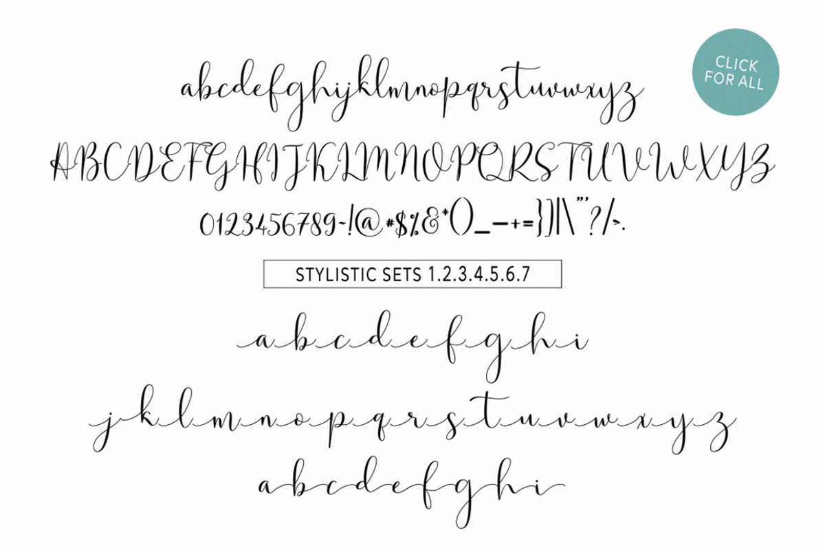 Solidar Font Family preview 8