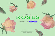 Faded Roses Watercolor, an Object Illustration by Volga_Store (Thumbnail 1 of 9)