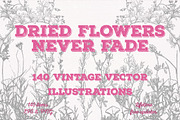 Dried Flowers, Petals, Shoots, an Illustration by TheBlackPixelCo (Thumbnail 1 of 8)