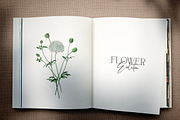 Bonelest | Stylish Ligature, a Script Font by Pentagonistudio (Thumbnail 7 of 10)