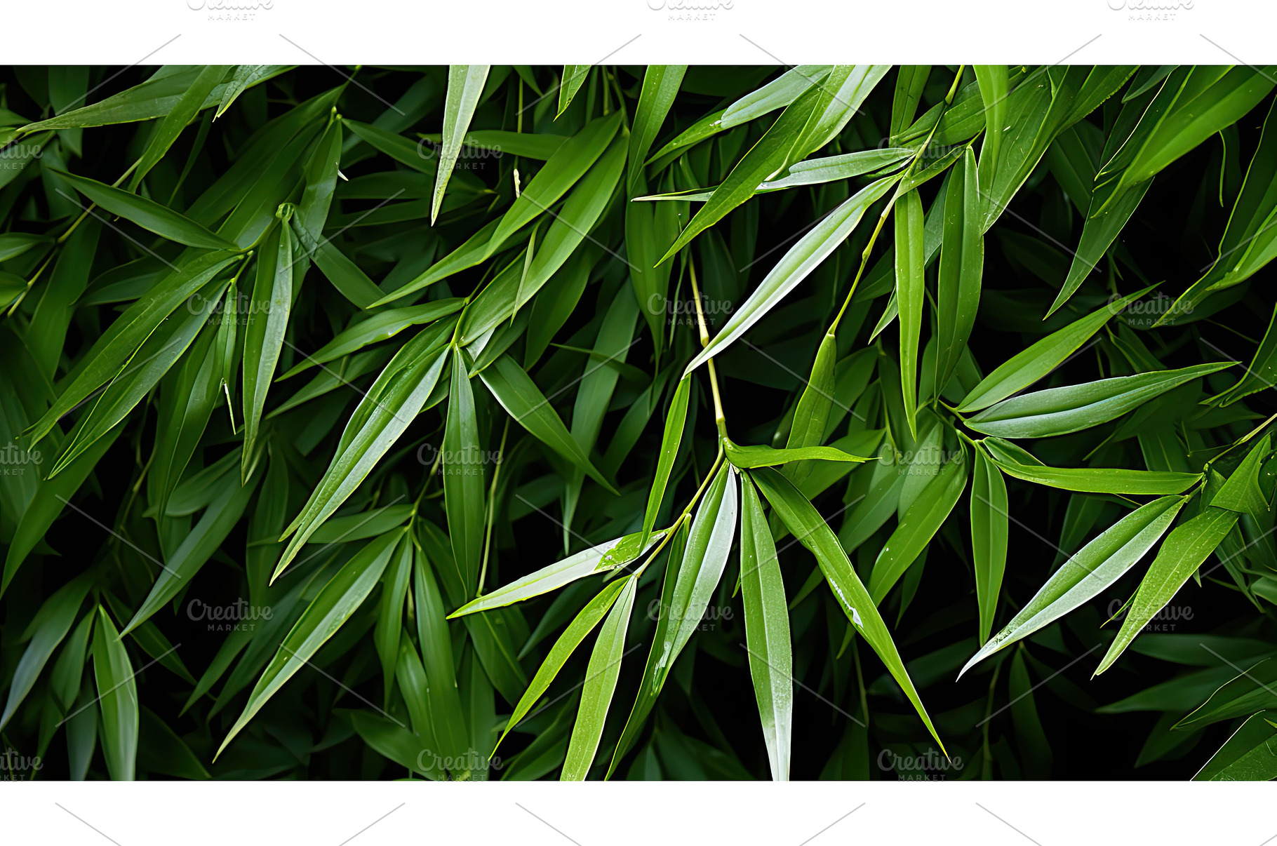 green chinese bamboo tree ai, a Background Photo by pikepicture