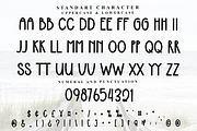 Special Ceremony, a Sans Serif Font by FreshTypeINK (Thumbnail 5 of 8)
