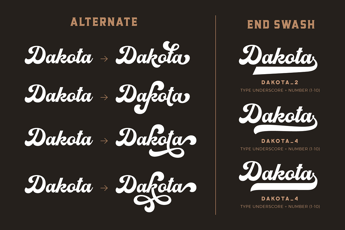 Mexiland - Vintage Font Duo, a Script Font by Grezline Studio (Photo 11 of 12)