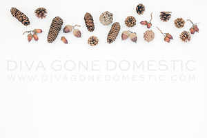 Styled stock photo - Fall acorns