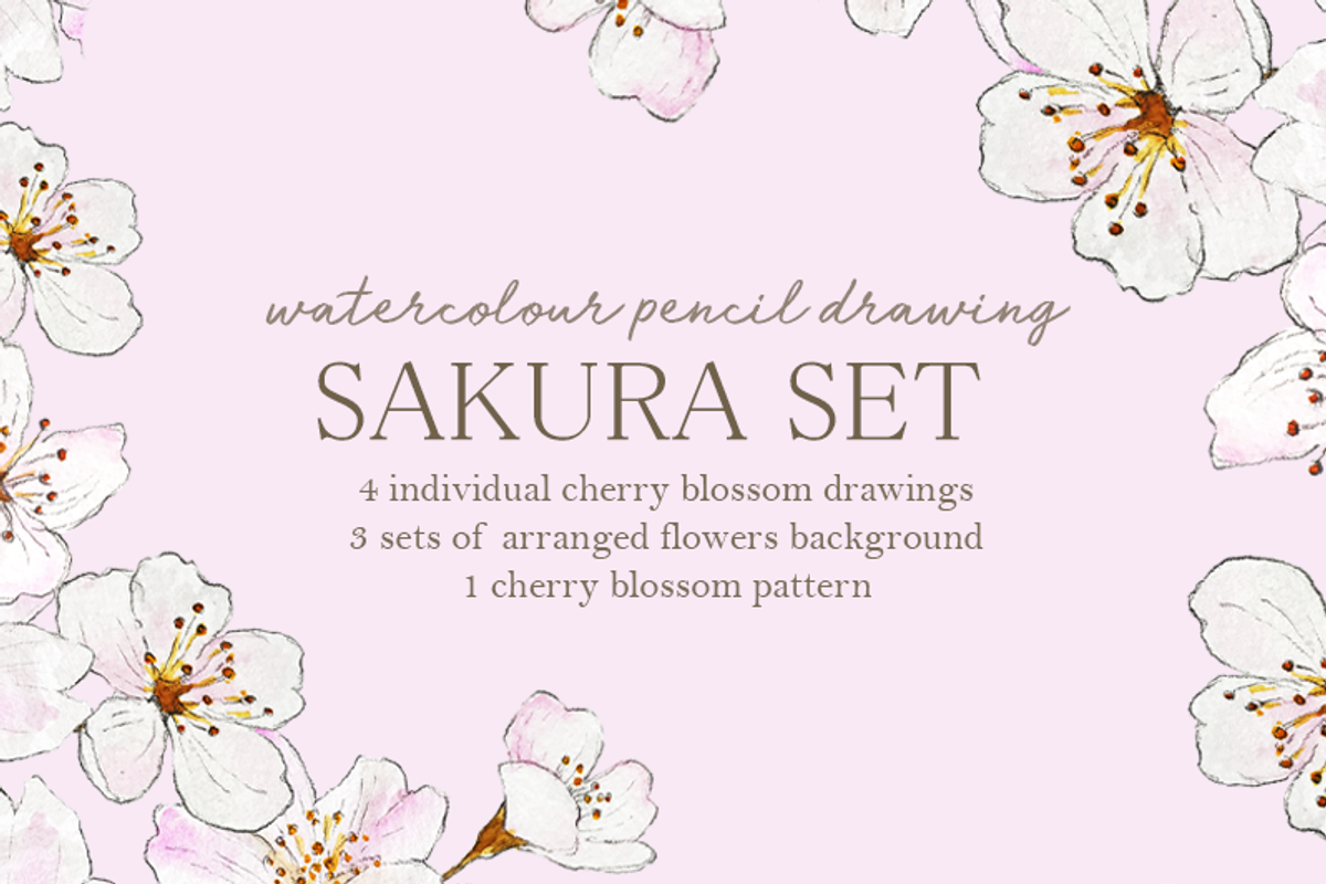 Watercolour Sakura Drawing Set, an Illustration by elpple (Photo 1 of 4)