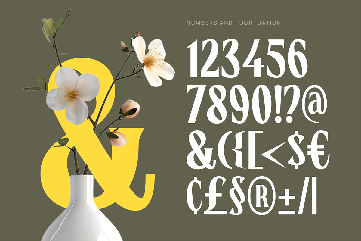 CHEVILE - Bold Elegant Display Font, a Serif Font by Pekotype (Photo 4 of 13)