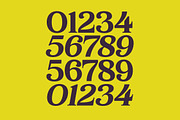 Bikers Groovy Retro Serif Font, a Serif Font by timelesstype.co (Thumbnail 10 of 15)
