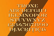 TroxeLMS, a Serif Font by glukfonts (Thumbnail 6 of 9)