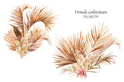 DESERT PLANTS, an Illustration by Eisfrei (Thumbnail 3 of 10)