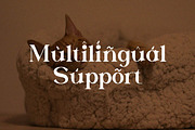 Childy Minimalist Serif, a Serif Font by Artiveko (Thumbnail 6 of 8)