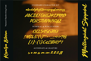 Vintage Light Natural Handwriting, a Font by Ronny Studio (Thumbnail 9 of 9)