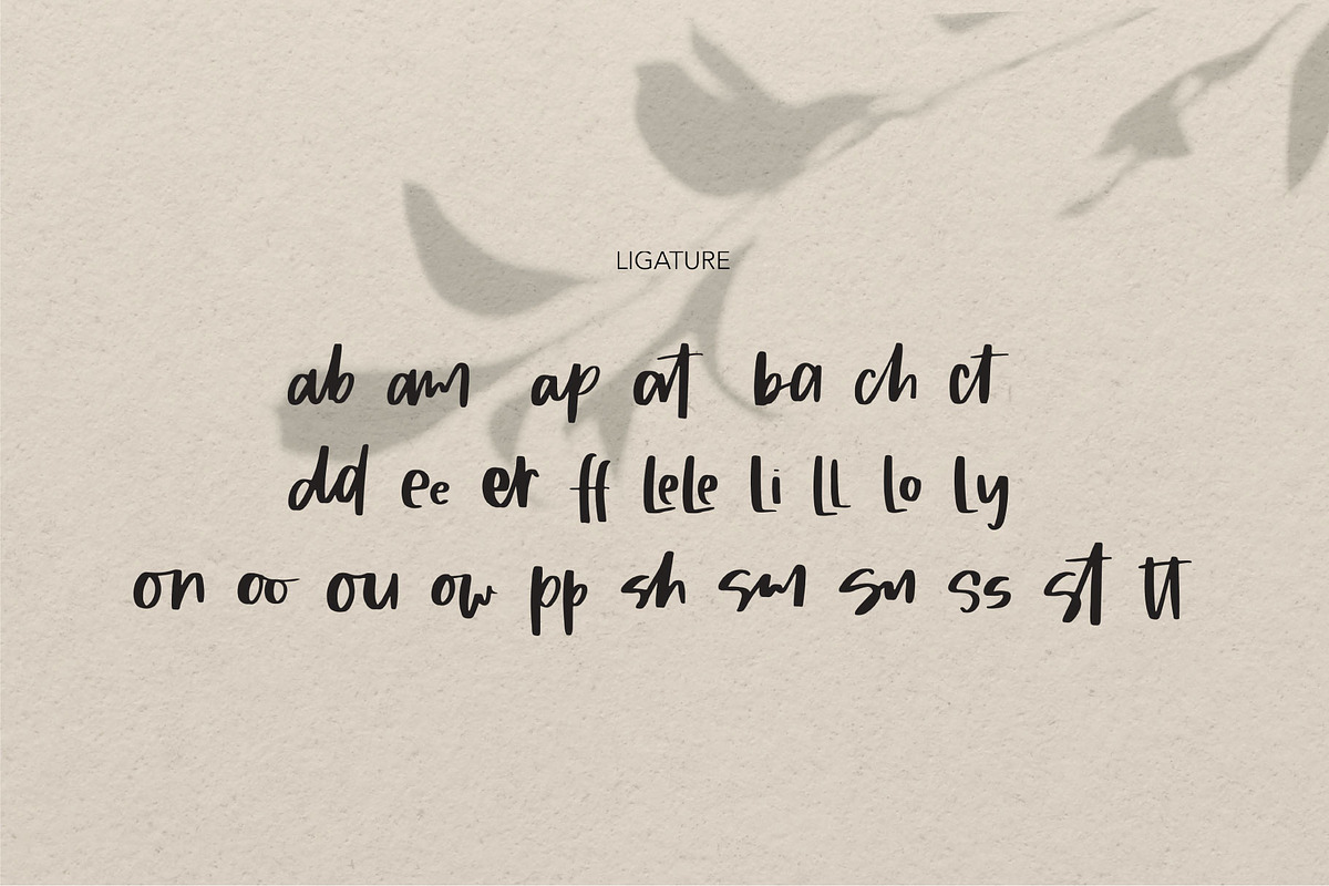 Sandra Type | Handwritten Font, a Script Font by Artstudio (Photo 8 of 8)