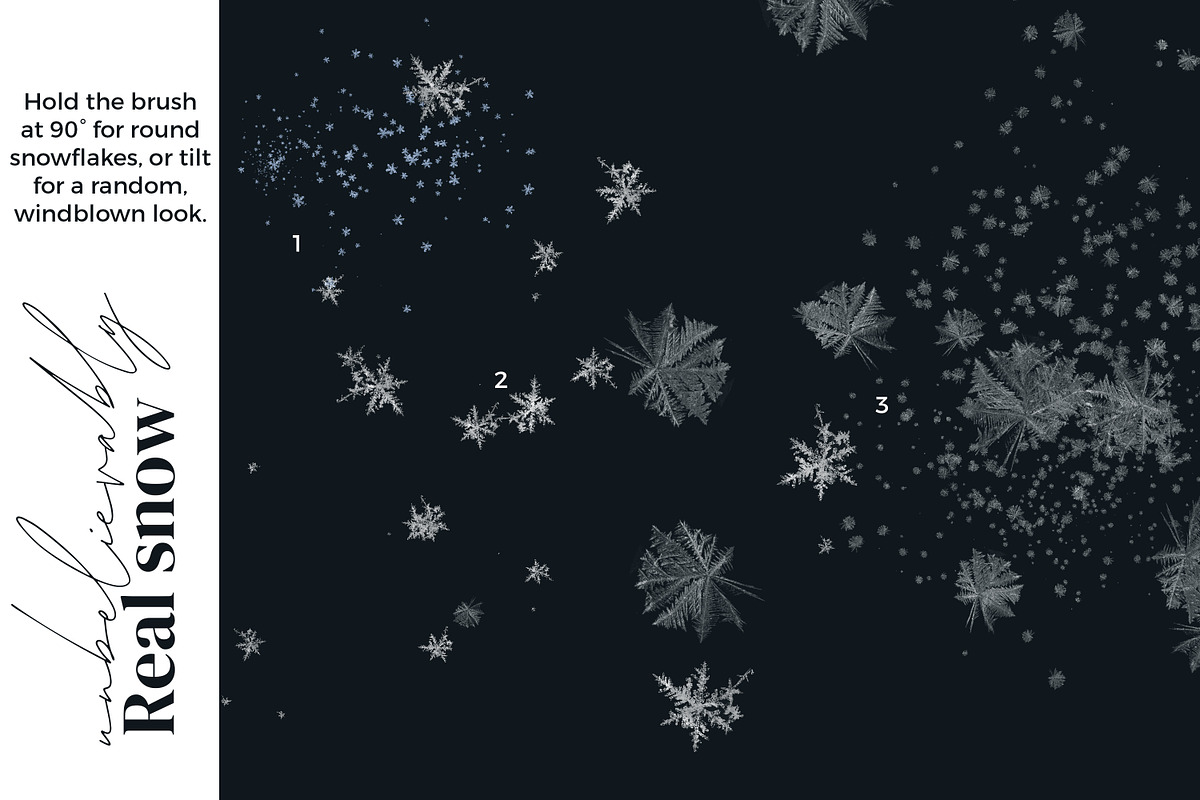 Winter Magic Brushes for Procreate, a Brush Add-On by AJ Brushes (Photo 3 of 10)