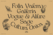 Bjork Serif, a Serif Font by CCS-Type.com (Thumbnail 13 of 30)