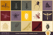 Vintage Insect Illustrations, an Illustration by BackYard Graphics Co. (Thumbnail 5 of 10)