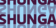 Antipod, a Sans Serif Font by Octotypo (Thumbnail 6 of 7)