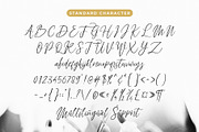 Fadhillah Signature, a Script Font by Gatype (Thumbnail 6 of 7)