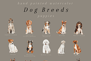 Dod Breeds - watercolor set, an Animal Illustration by Youksy (Thumbnail 3 of 18)