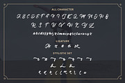 Azingdar - Retro Bold Script Font, a Script Font by StringLabs (Thumbnail 14 of 15)