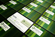 Elegant Business Card, a Business Card Template by Marvel (Thumbnail 3 of 3)