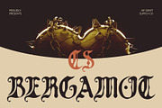 CS Bergamot Drawn, a Blackletter Font by Craft Supply Co. (Thumbnail 1 of 8)