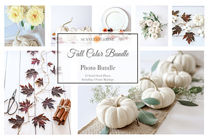 Fall Color Bundle Stock Photos